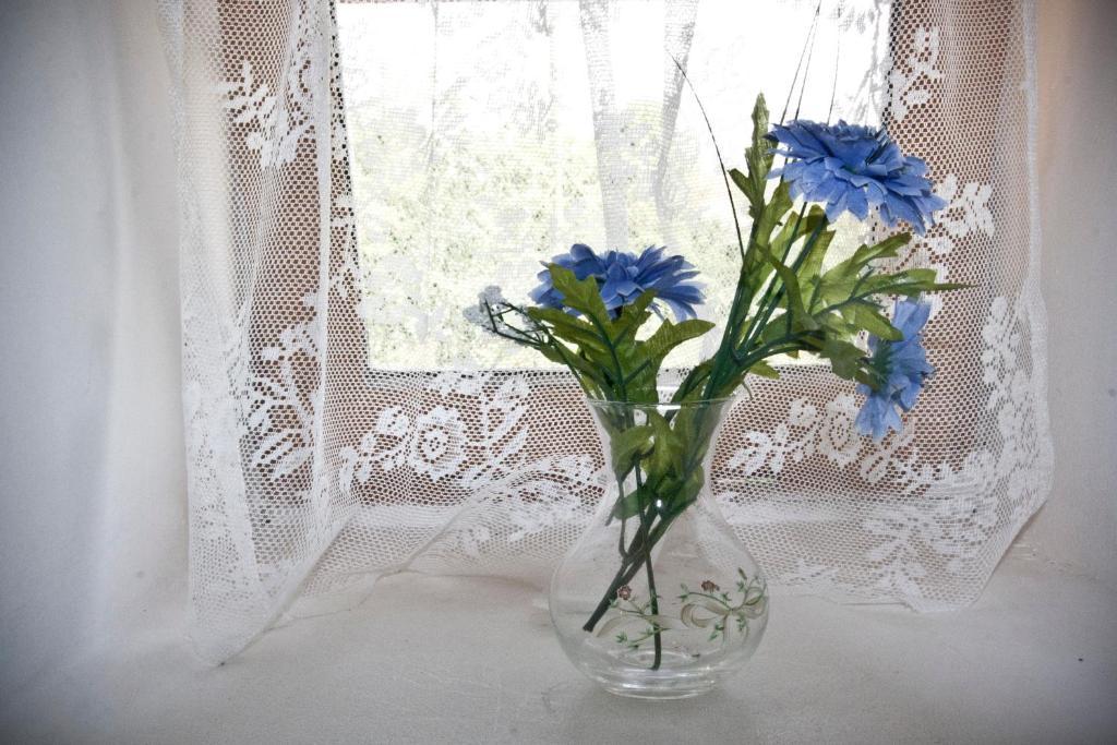 Domaine Le Chec Bed & Breakfast Saint-Ost Luaran gambar